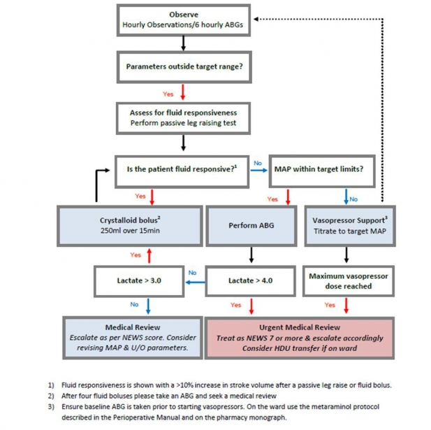 Enhanced Perioperative Protocol